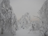 getImage (7)
